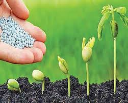 تصویر 3 از کودهای ارگانیک و بیولوژیک + خرید فوق العاده